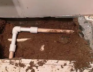 江津测漏水哪家好