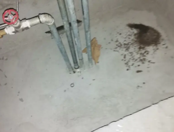 江津卫生间测漏水价格明细