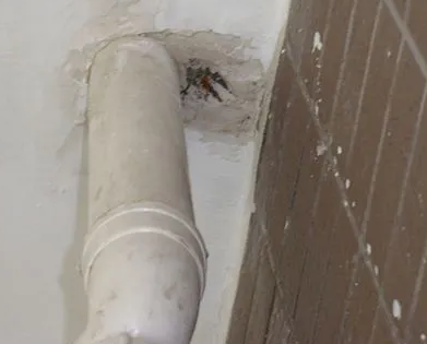 江津漏水检测哪家好